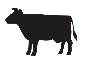 牛肉